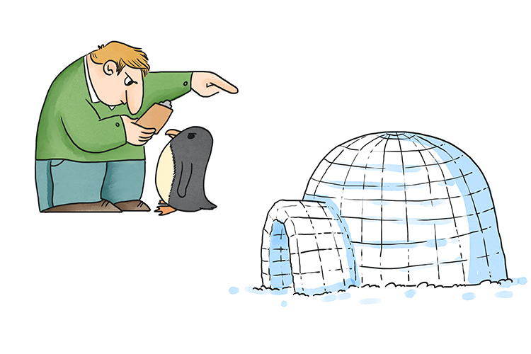 The liaison officer finally gave up on me and said: 'Live in an igloo, son."